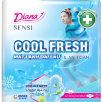 BVS Dianna hàng ngày Cool Fresh cánh (GÓI 8 miếng)