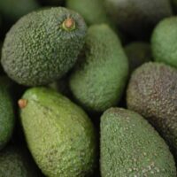 Bơ Chile nhập khẩu  ( hộp 2 quả)