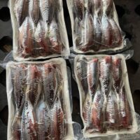 Khô cá nục ( khay 500gr)