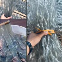 Miến dong sợi to (gói 500G)